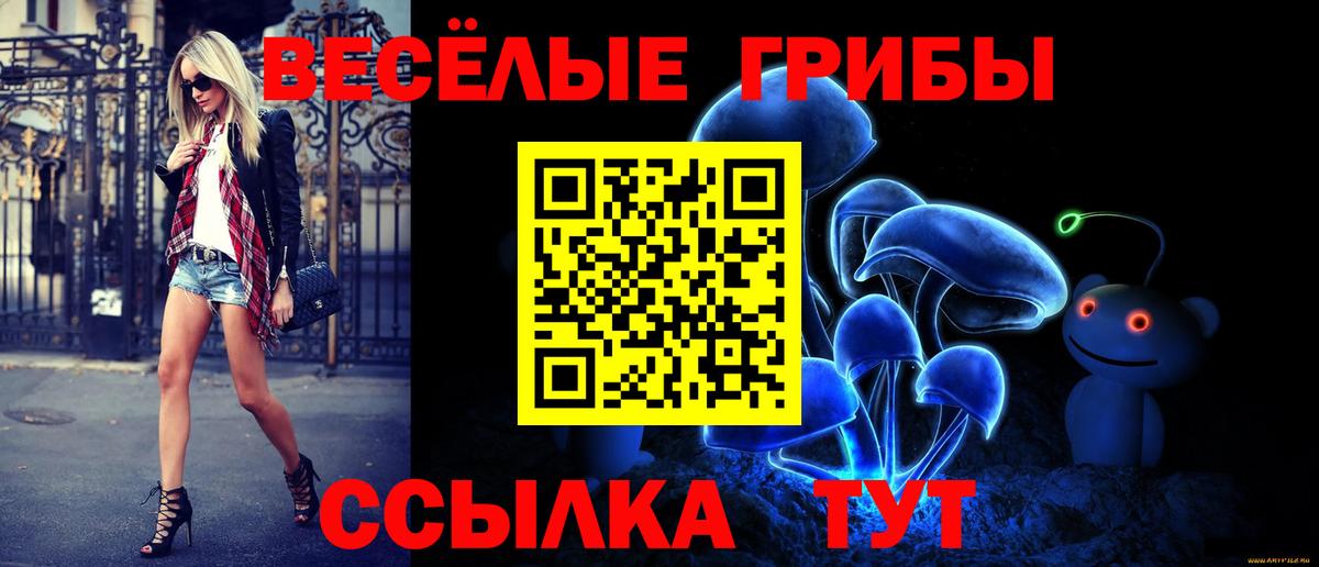 Галлюциногенные грибы Psilocybine cubensis  Галлюциногенные грибы Magic Shrooms  Кингисепп  Вход с VPN 