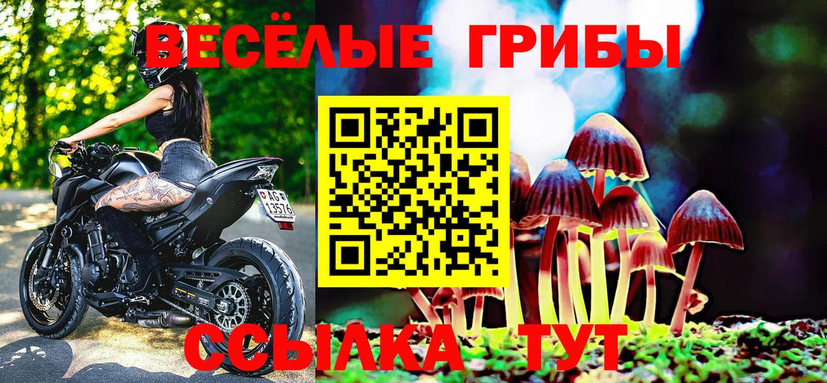 Галлюциногенные грибы прущие грибы Кингисепп